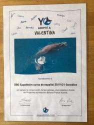 Adoptamos una ballena - Der Spanischkurs des DBG adoptiert einen Wal